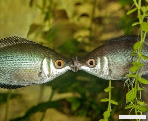 啊，好爽，*死爽**本宝宝了