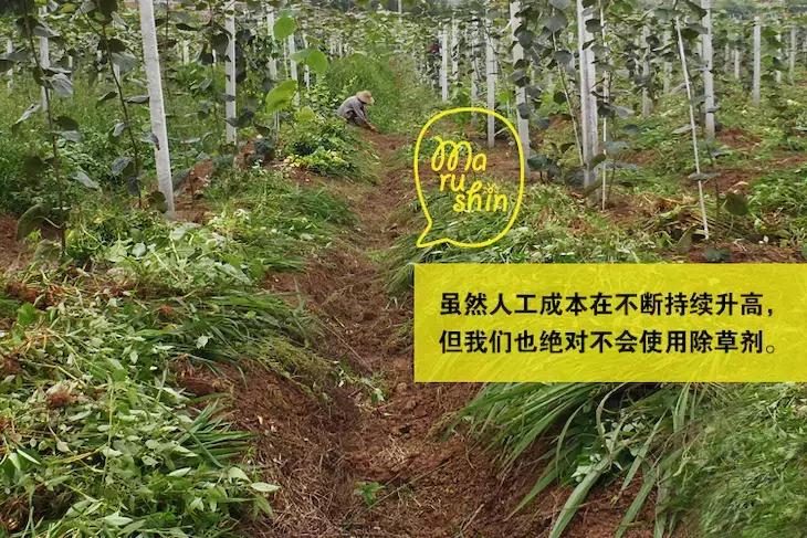 农心|一起向匠人精神致敬!