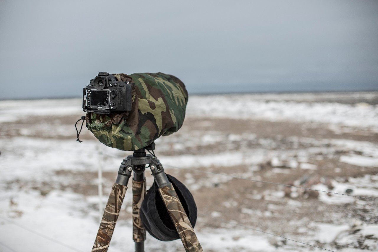 为什么这么多人要去加拿大,去加拿大最应该了解哪些事情