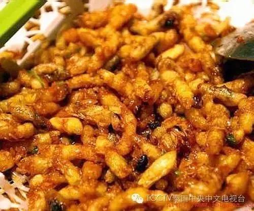 泰可怕这个居然也能吃?