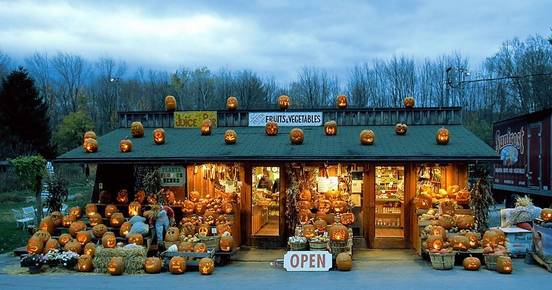 美国撞车怎么处理,在美处理车祸的6个重要步骤