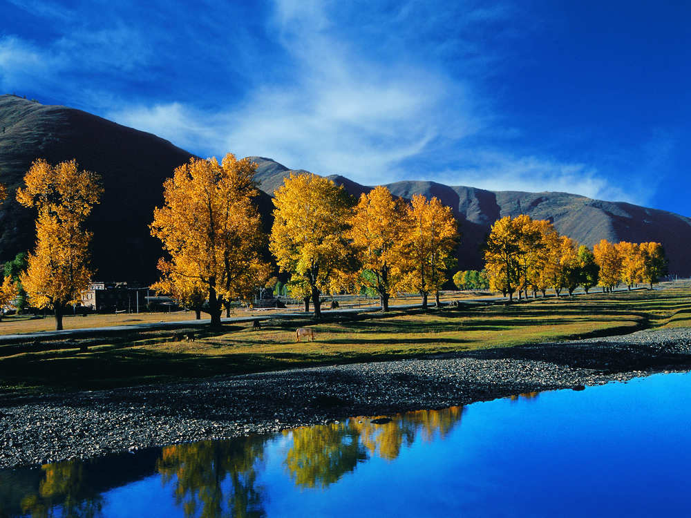成都市拍婚纱照去哪里拍比较好看,推荐一下拍婚纱照的地方