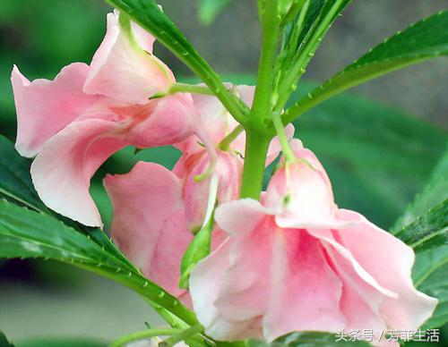 8090美甲店怀旧名称,8090年代的美甲