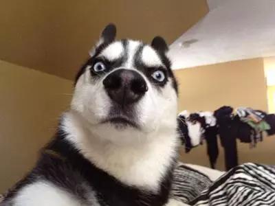 谁跟你借车你就跟谁借钱,谁跟我借车我就跟谁急