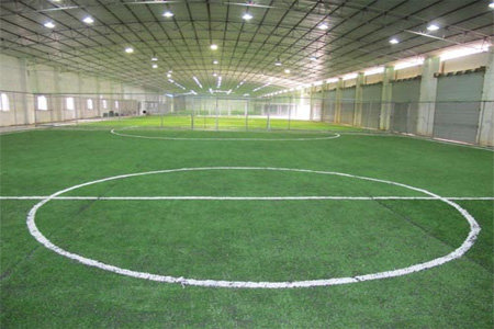 足球场球迷疯狂闯进场内,足球疯狂球迷冲场庆祝