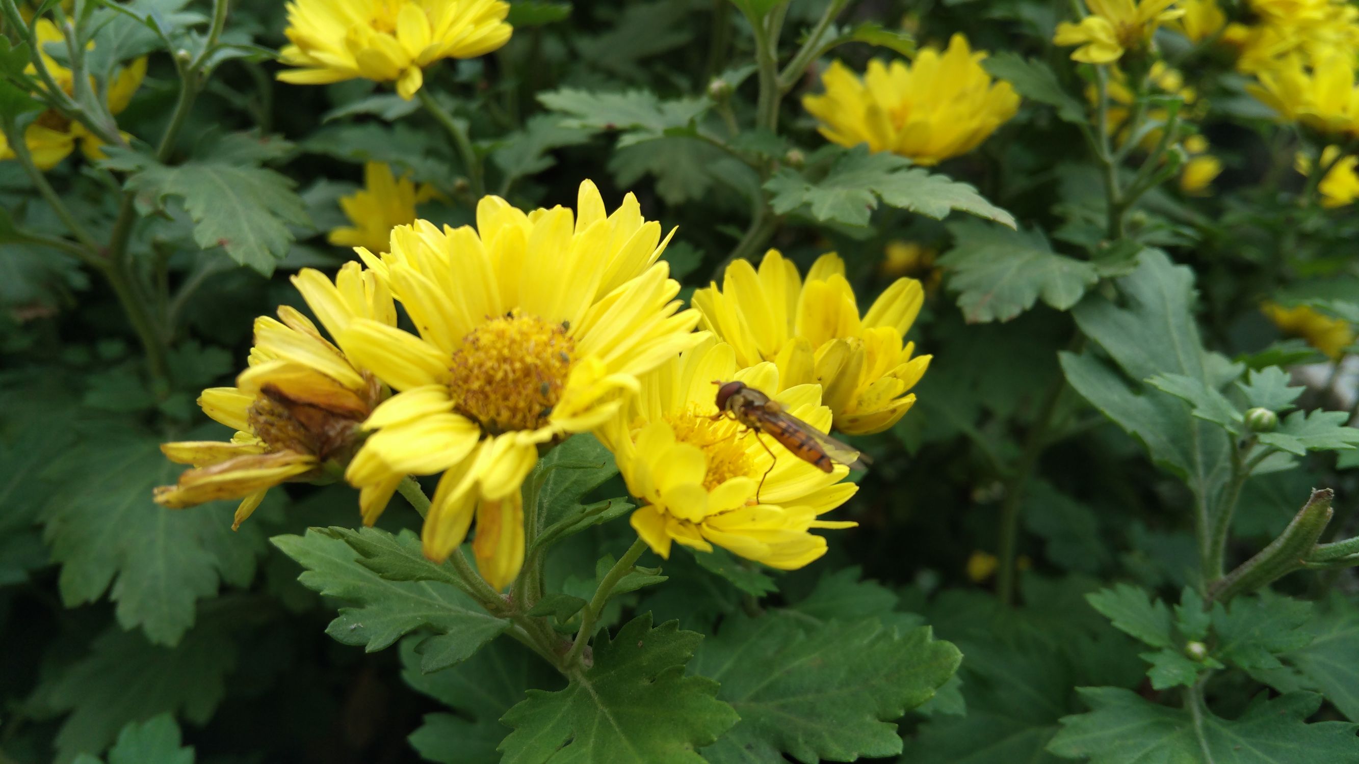 3倍光学变焦成像质量,小米12sultra120倍变焦成像