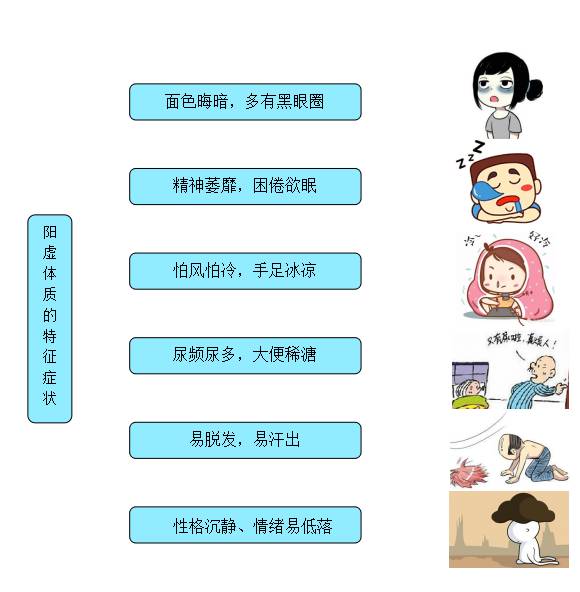 怕冷脸色暗黄精神疲惫怎么调理,怕冷是血虚还是阳虚怎么调理