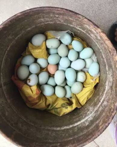 从最贫困村落到旅游首选地,一年时间,韶山这个地方经历了什么?