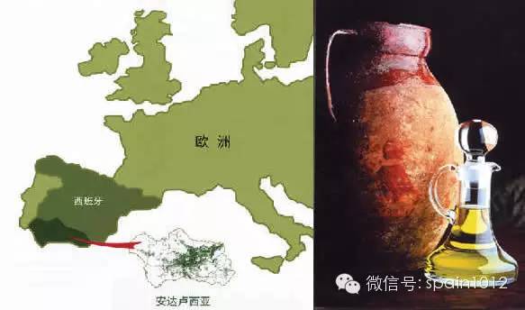 西班牙橄榄油十大排名,西班牙进口伯爵橄榄油