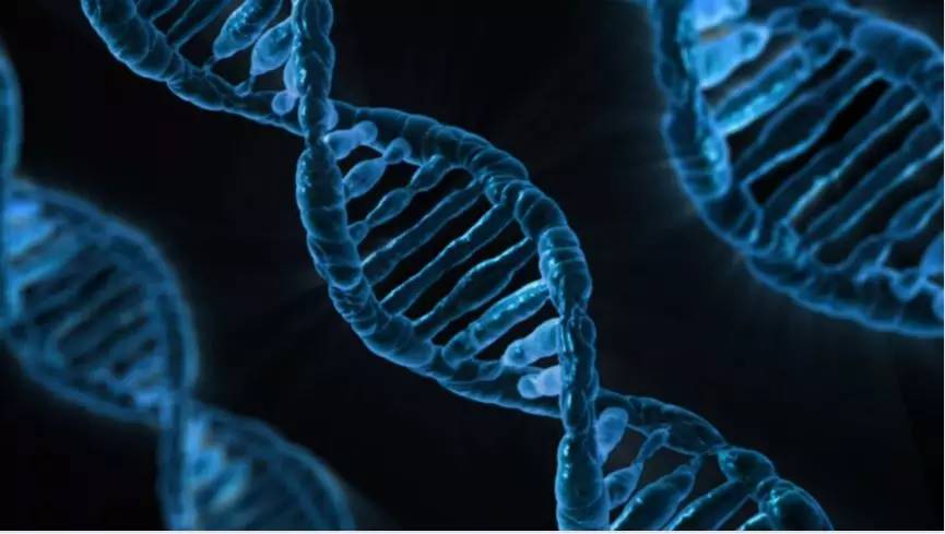 宫颈癌：你不知道的和该知道的