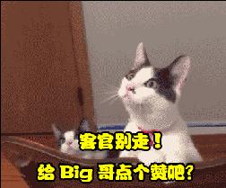 双11最后一波免单,双11支付宝免单