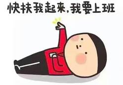 jolin蛋糕,jolin蔡依林蛋糕