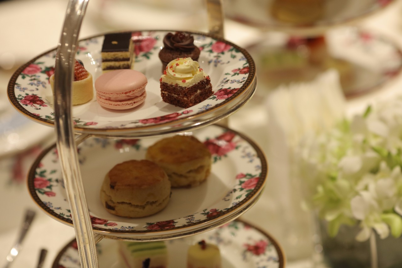 邮轮环球旅行2023年,邮轮环球游