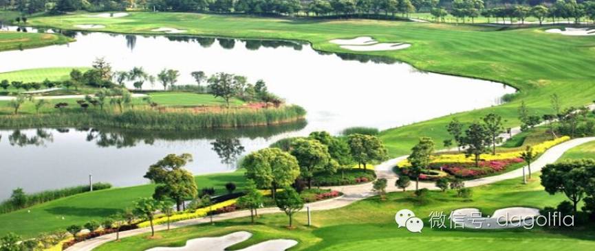 高尔夫优惠团购99元直播,国际高尔夫订场