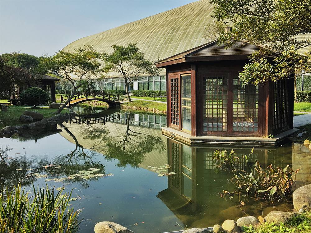 原来在宿舍也可以这么快乐,原来在大连也可以享受洱海