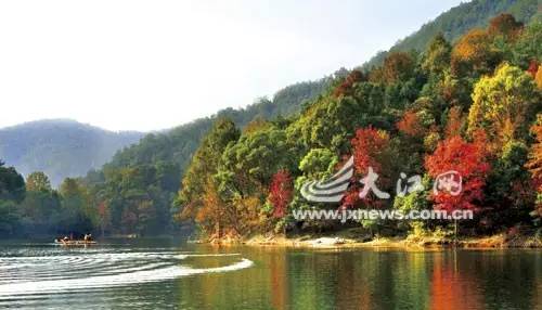 围观“枫”和日丽~来江西赏这一抹红