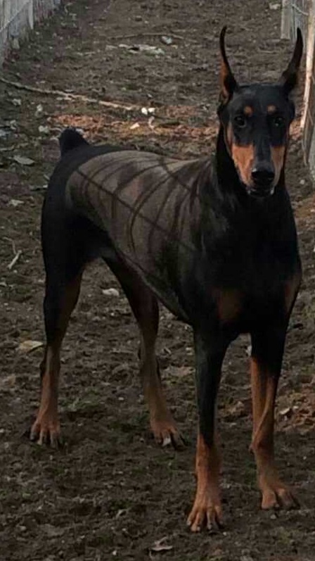 分享产房喜悦,分享产房故事