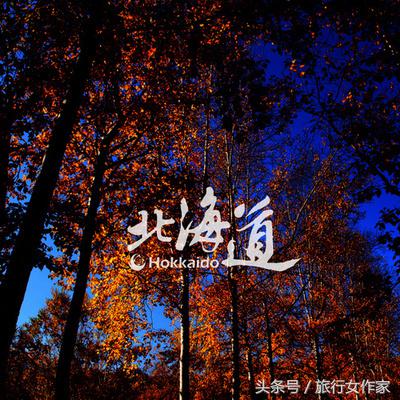 印象北海道旅游攻略,冬天去北海道旅游吃什么