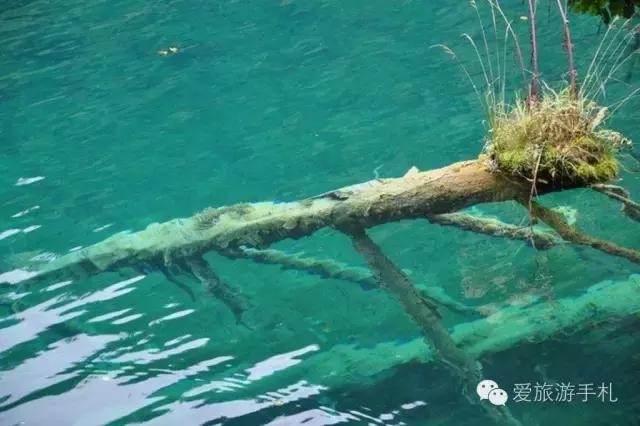 去九寨沟自由行攻略图解大全,怎么游遍九寨沟景区