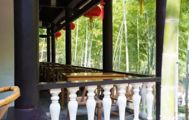 在宜兴竹海，阅读作家笔下的秋！