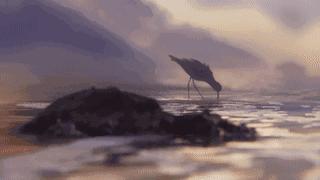 鸟是好鸟就是话多这幅图表达什么,鸟是好鸟是什么梗