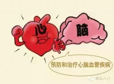 辟谷对血管堵塞有功效吗,辟谷对动脉粥样硬化有效吗