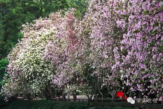 肇庆发起了一条好友印象墙