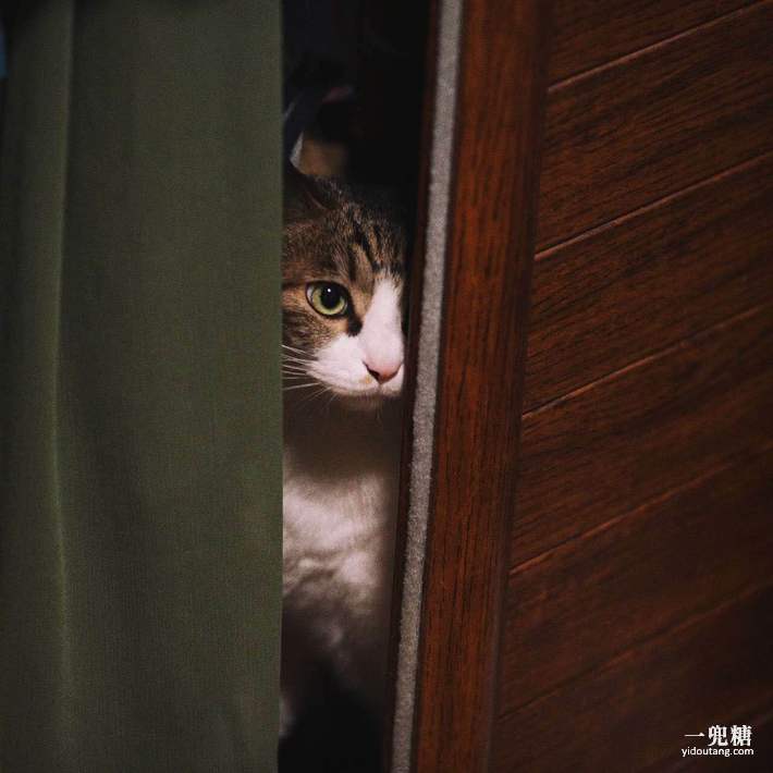 哪一种电暖炉比较好,轻奢电暖炉