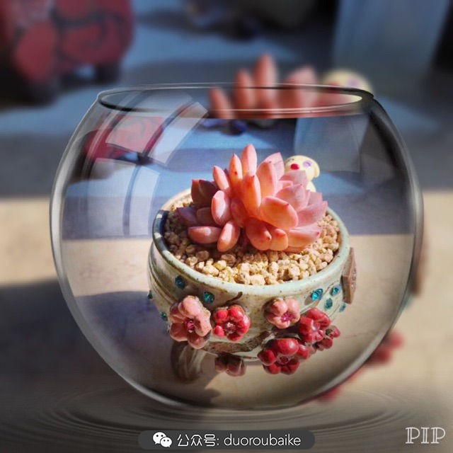 这样的极品雪天使，你可倾心？