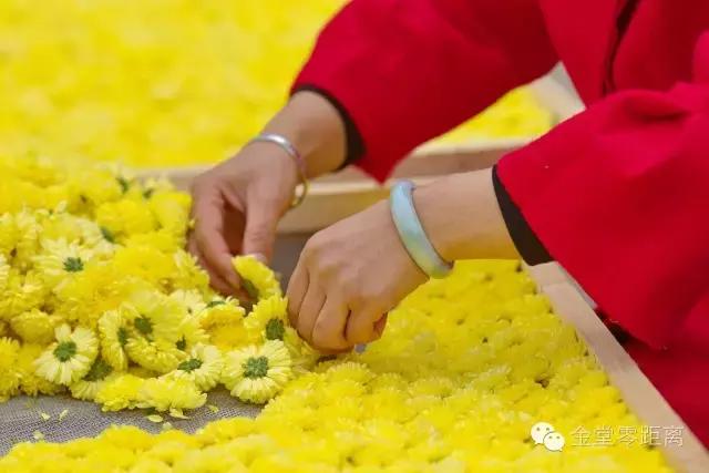 去金堂玉皇山养生谷耍一耍,金堂玉皇山一日游最佳路线