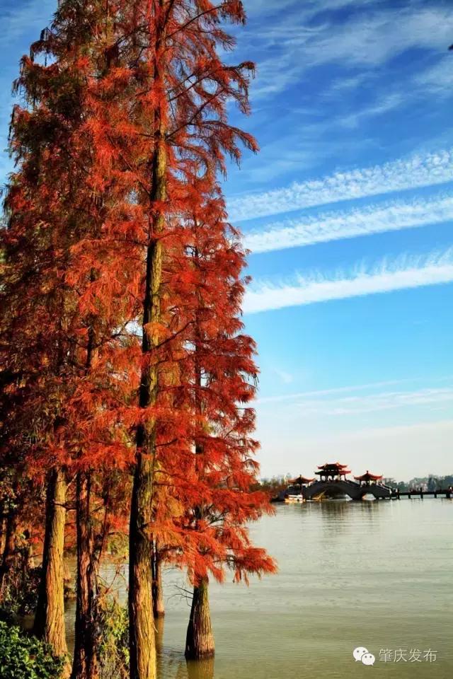 肇庆发起了一条好友印象墙