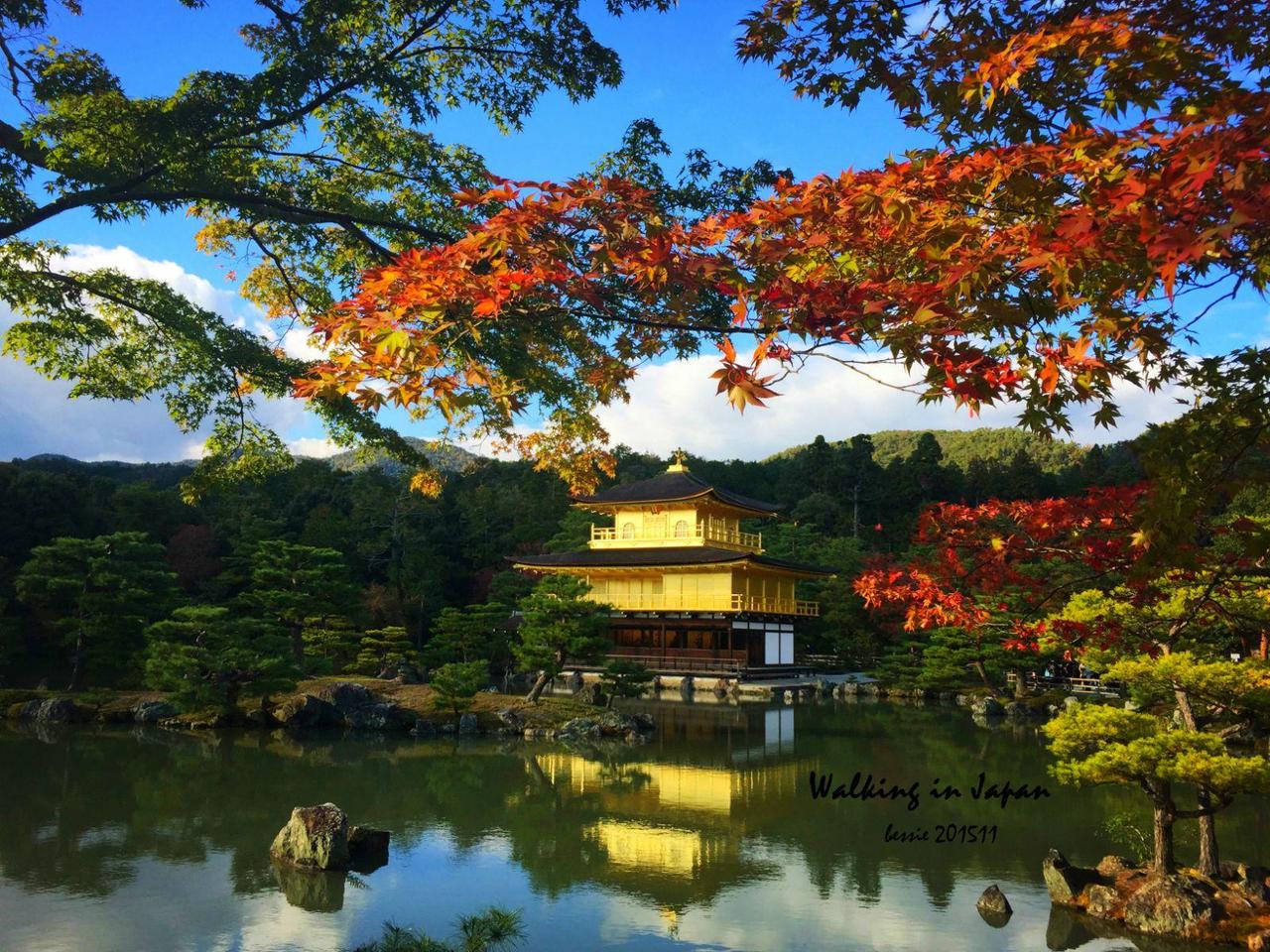 霓虹国秋日暴走之旅,漫步日本旅行游记