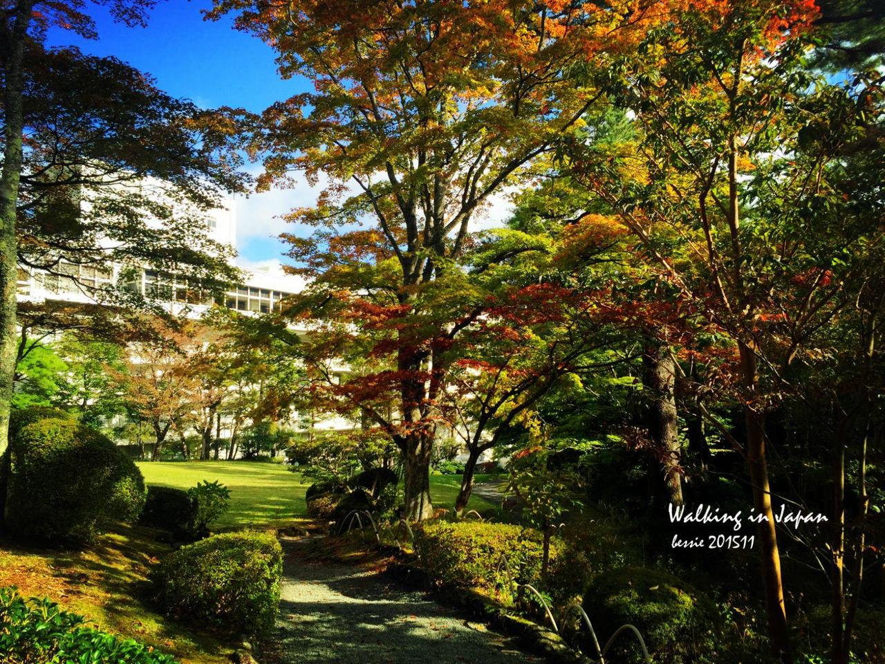 霓虹国秋日暴走之旅,漫步日本旅行游记