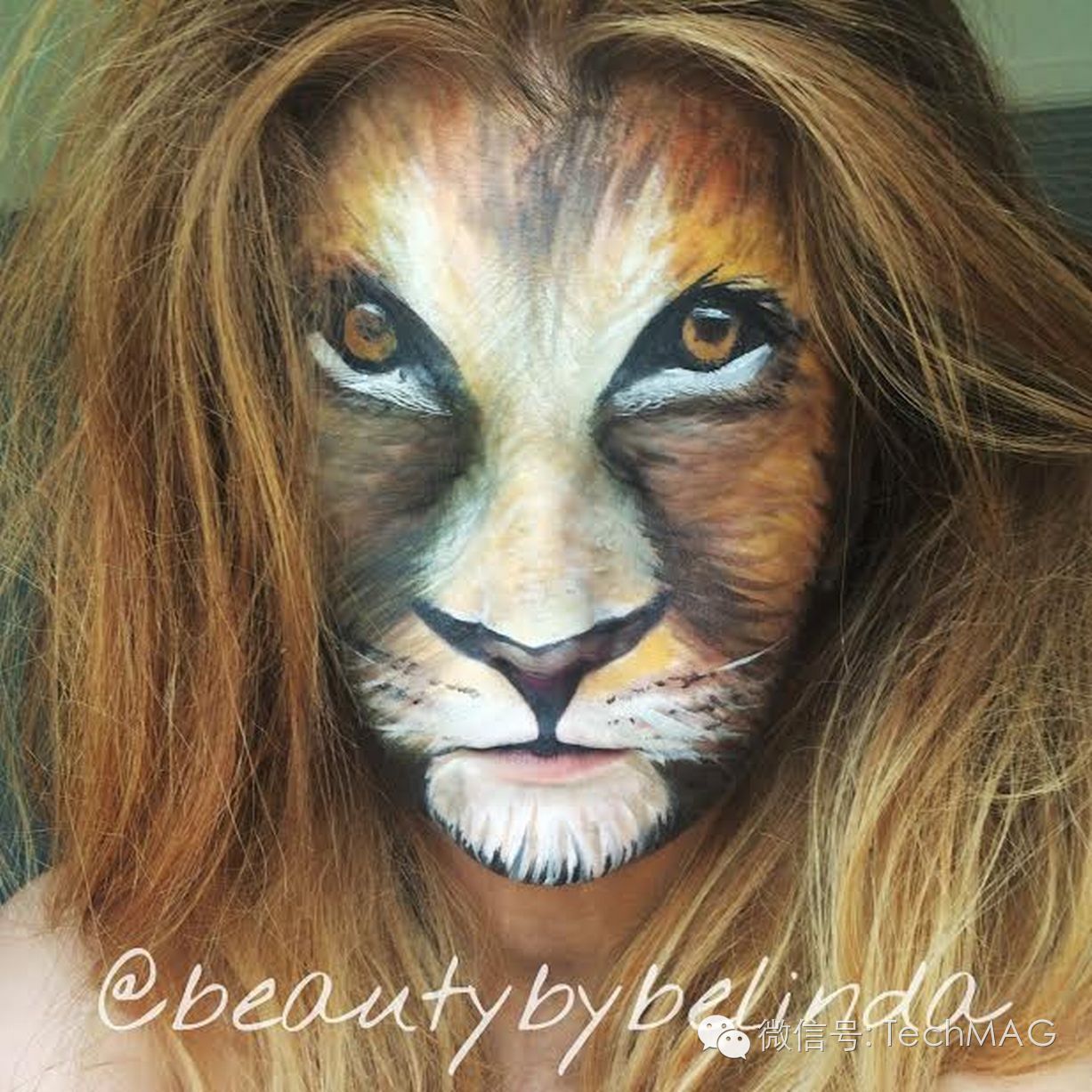 双十一入手最强攻略,双十一新手必买清单