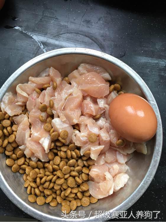 让狗狗远离你的声音,狗狗趴蹄纠正