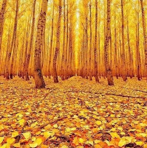 清博对话牛肉饭：旅游十大影响力大V，在玩乐中赚足百万