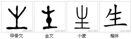 最代表中国文化的汉字,中国最具传统文化的100个汉字