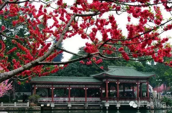 福州附近旅游全攻略,福州旅行攻略完整版