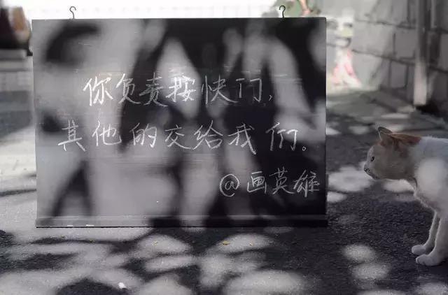 摄影写真排名前十名,摄影十大品牌排行榜前十名