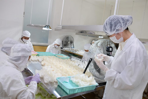 燕窝企业溯源码靠谱吗,溯源码燕窝能造假吗