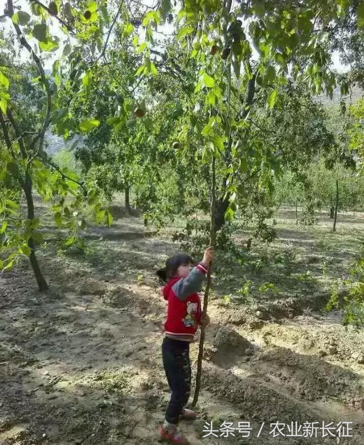 寰█澶т箟鍏ㄦ枃,寰█澶т箟瀹屾暣瑙嗛