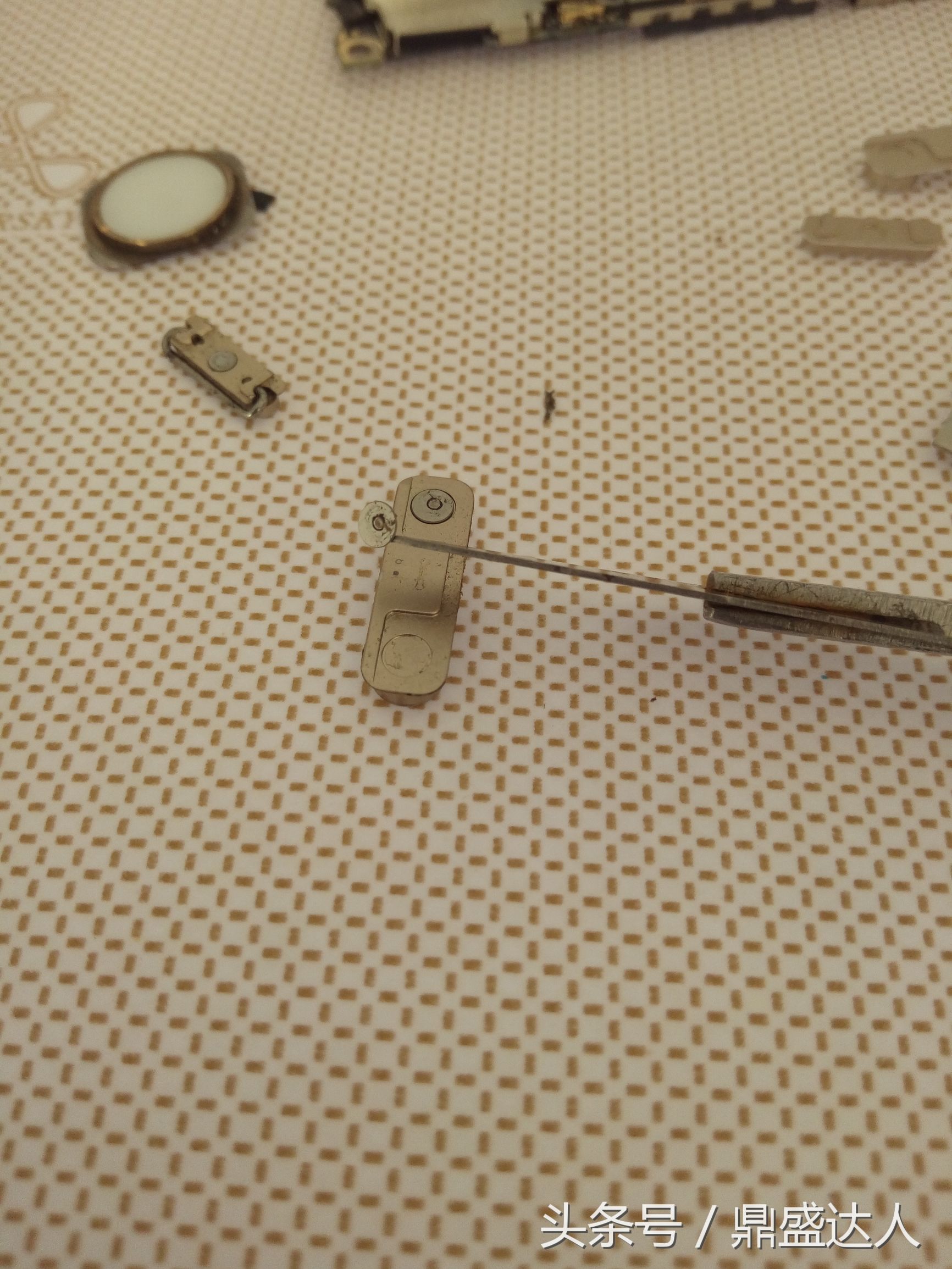 5s换壳教程视频,苹果5s拆机视频换屏幕