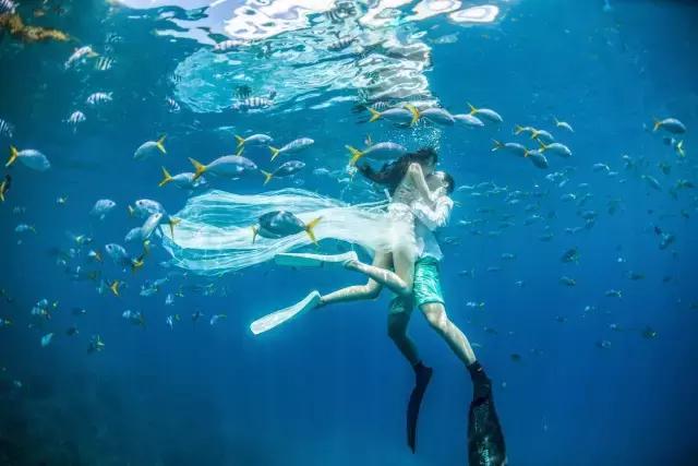 帕劳群岛旅游攻略大全,超强整理去帕劳不得不看的攻略