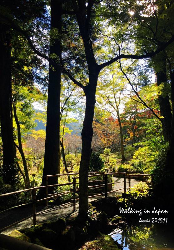 霓虹国秋日暴走之旅,漫步日本旅行游记