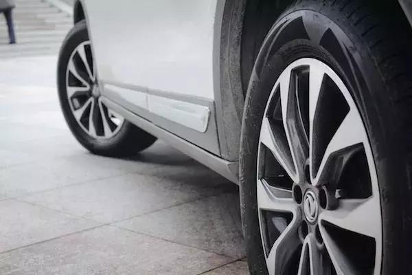 老树开新花七绝,老树开新花枯树发新芽