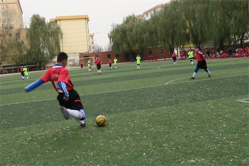 2023年区长杯足球比赛小学,2022区长杯足球赛小学组