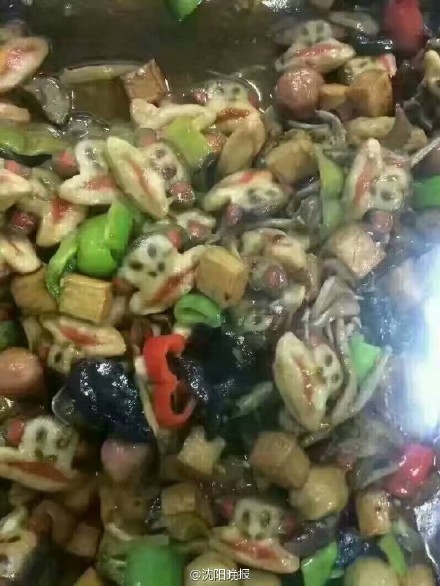 高校食堂做的奇葩菜,高校食堂奇葩菜排名