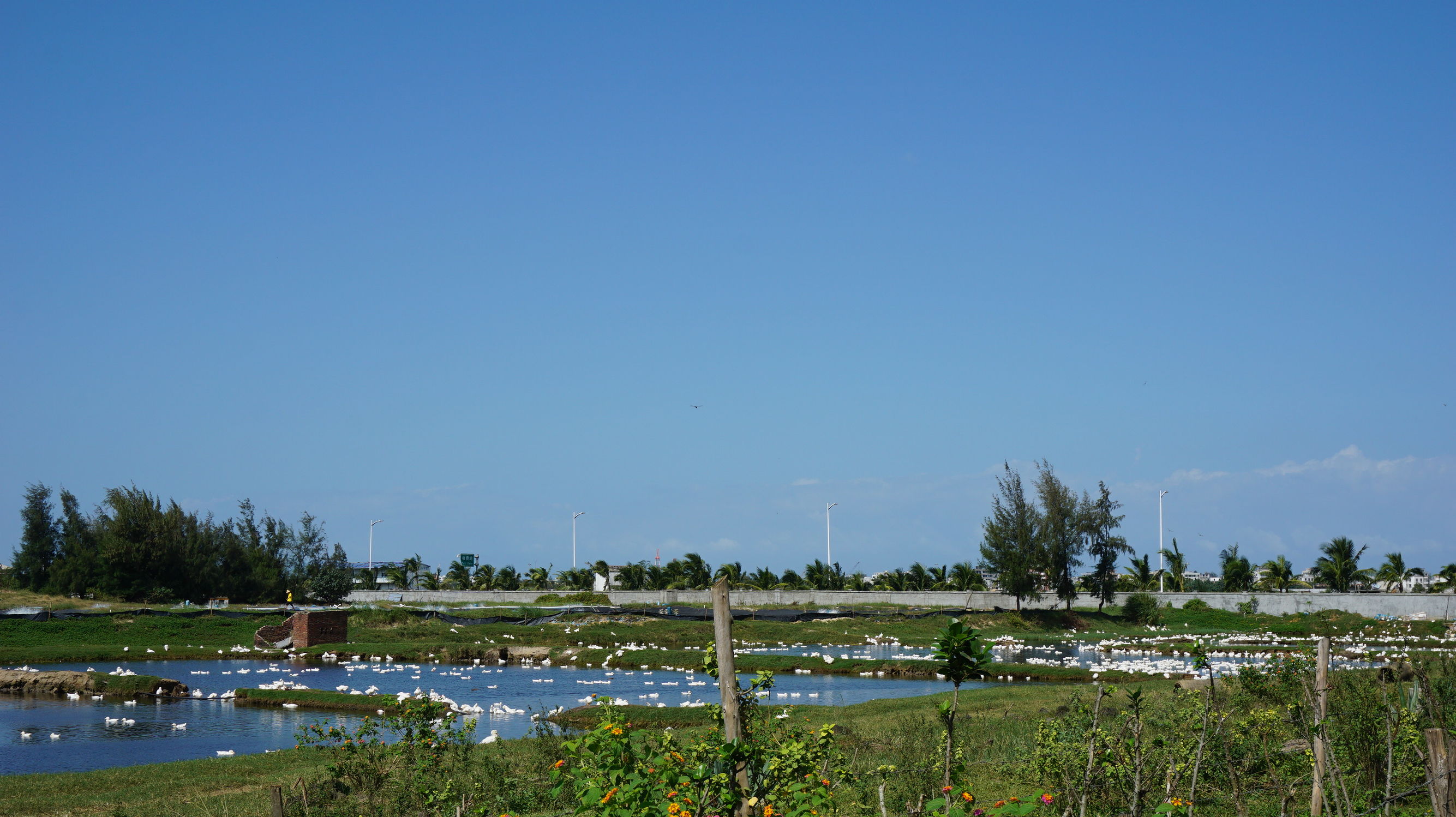 从北漂到东北,从北漂到北大