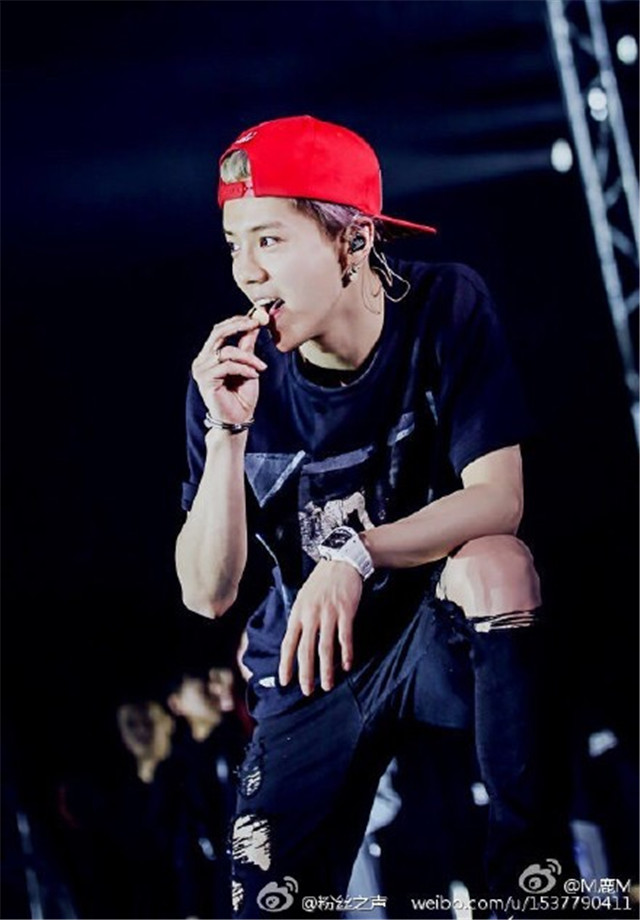 鹿晗回来了,鹿晗回来了吗