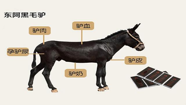 养驴好还是养羊好呢,养毛驴和牛谁比较赚钱